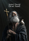 BECOME PART OF THE STORY - SAINT DAVID VIP MEMBERSHIP